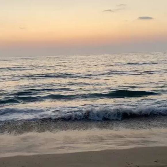 Meet your Posher, Selina - Picture 1 of 1